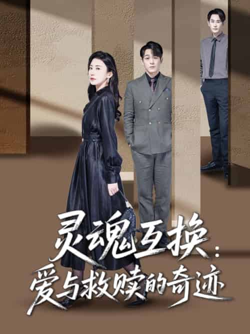 灵魂互换:爱与救赎的奇迹(33集)鹿菲儿-搜外项目网