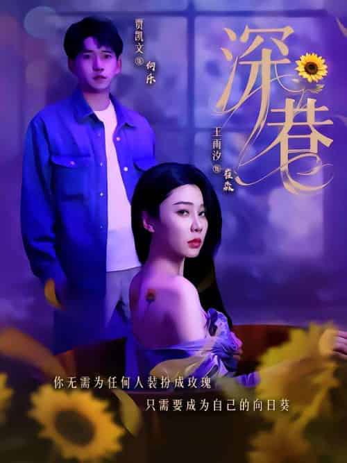 深巷（59集）贾凯文＆王雨汐-搜外项目网