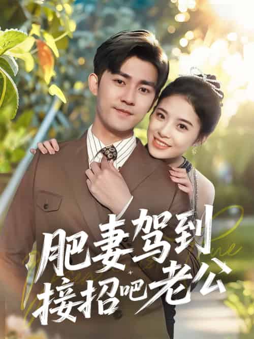 肥妻驾到接招吧老公(70集)梅子健&侯梦心-搜外项目网