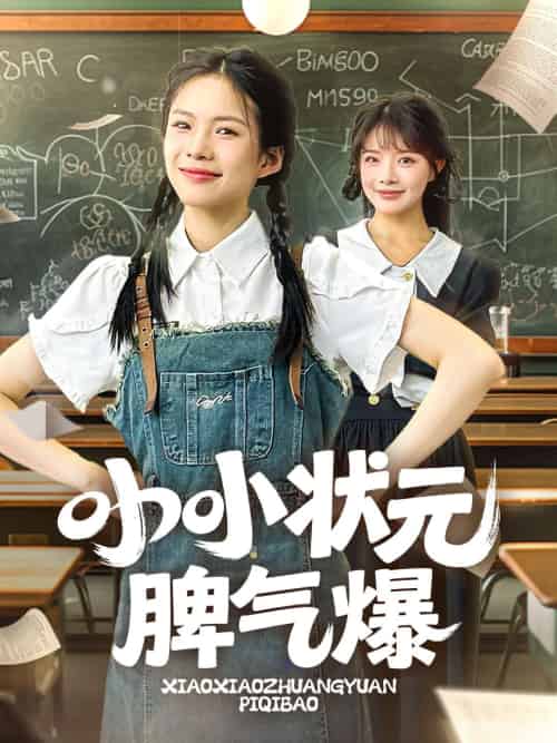 小小状元脾气爆（60集）项倩倩＆应新新-搜外项目网