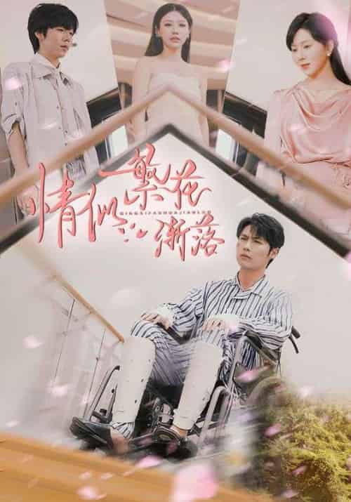 情似繁花渐落（62集）李明源＆顾沅真-搜外项目网
