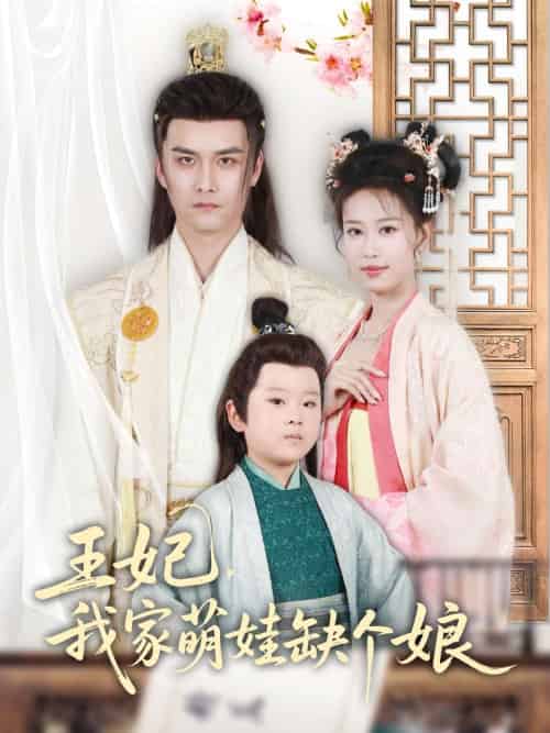王妃，我家萌娃缺个娘（51集）郑源-搜外项目网