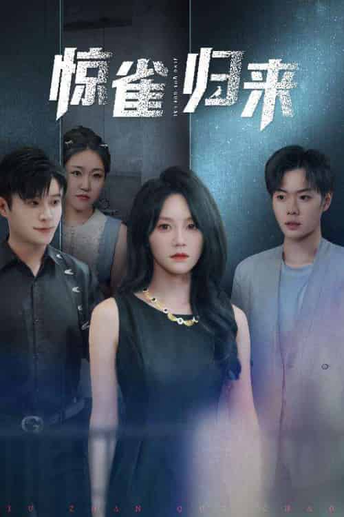 惊雀归来(45集)穆萌&李枫池-搜外项目网