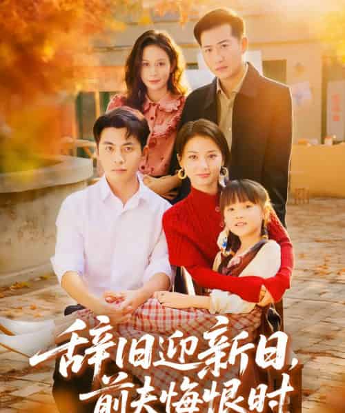 辞旧迎新日，前夫悔恨时（86集全）李可乐＆马倩倩-搜外项目网