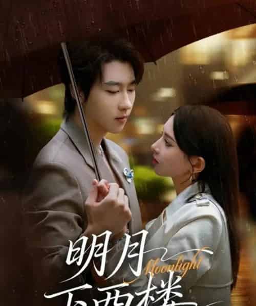 明月下西楼(79集全)张韫韬&徐良-搜外项目网