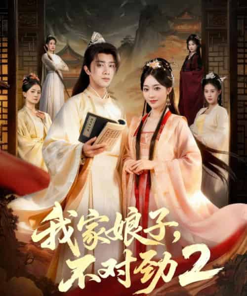 我家娘子，不对劲2（90集全）陈外＆鲁芳岐-搜外项目网