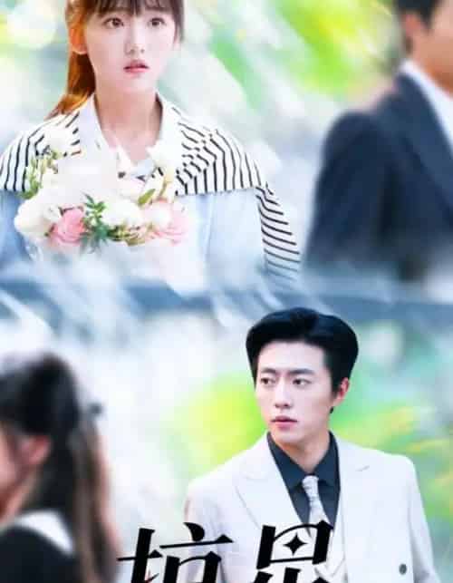 掠星（80集全）张磊＆陈俊宏-搜外项目网