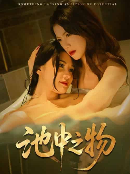 池中之物（44集全）杨骐远＆苏文文-搜外项目网