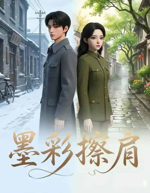 墨彩擦肩（31集全）AI-搜外项目网