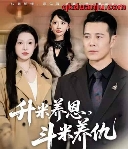 升米养恩，斗米养仇＆认贼弃父（75集全）萨钢云＆关钰莹＆小布丁-搜外项目网