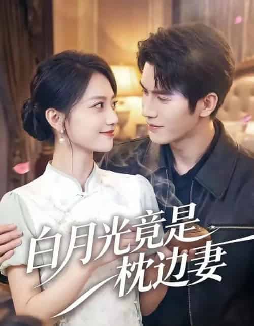 白月光竟是枕边妻（50集全）席如意＆韩品杰-搜外项目网