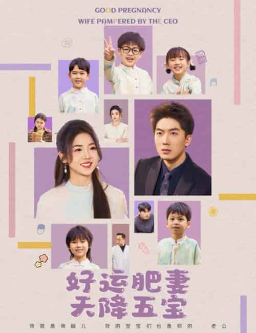 杏林春深＆好运肥妻天降五宝（74集）吴明宇＆李海蒂-搜外项目网