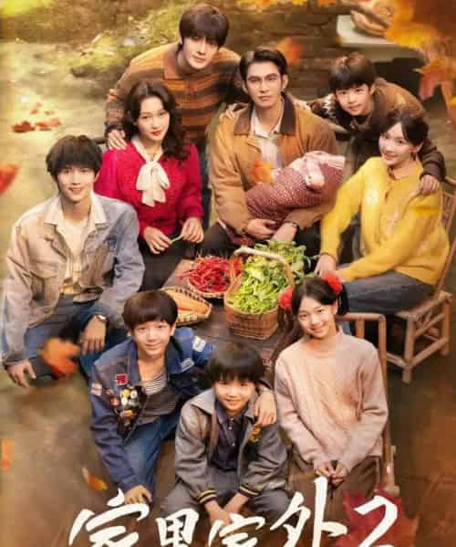 家里家外2(111集全)王道铁&孙艺燃&王培延&邓灵枢&段美洋-搜外项目网