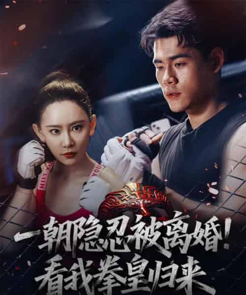 一朝隐忍被离婚！看我拳皇归来（61集）王艺鑫-搜外项目网