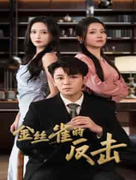 金丝雀的反击(33集)馨方-搜外项目网