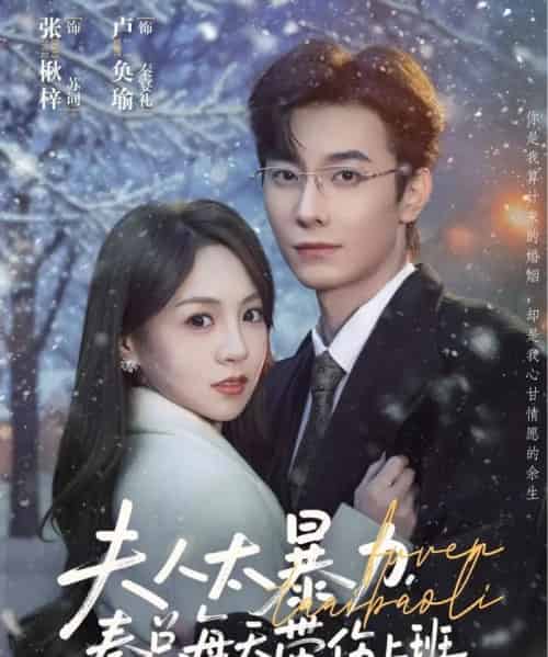 夫人太暴力，秦总每天带伤上班（80集全）卢奂瑜＆张楸梓-搜外项目网