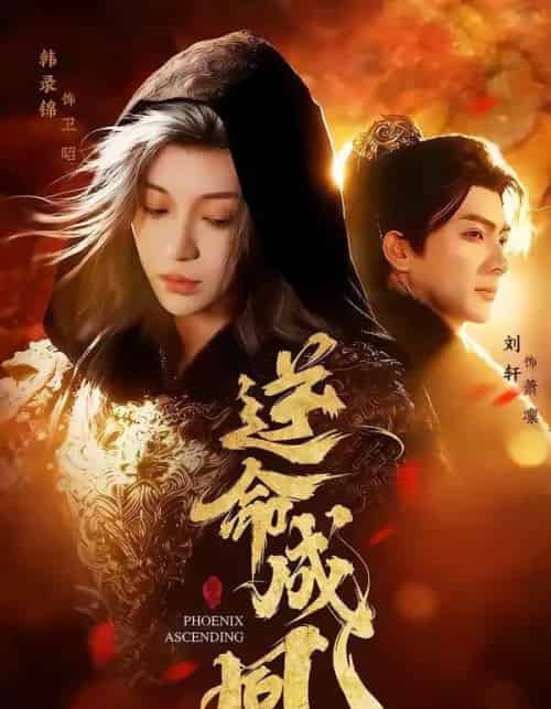 逆命成凰（70集全）刘轩＆韩录锦-搜外项目网