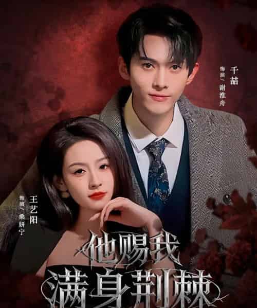 他赐我满身荆棘（80集全）千喆＆王艺阳（情侣档）-搜外项目网