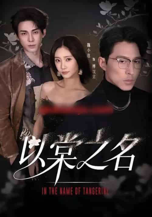 以棠之名(66集全)魏小也&冯文栋-搜外项目网