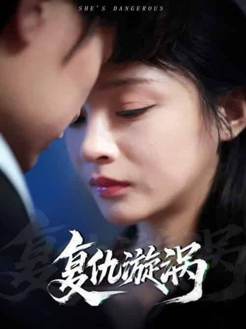 复仇漩涡（66集全）吴楚一＆万家乐-搜外项目网