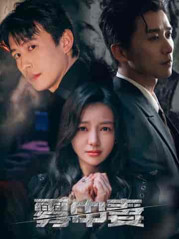 雾中妻（52集全）刘萧旭＆黎沐乔-搜外项目网