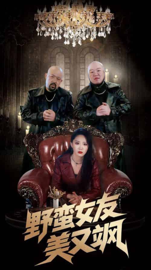 野蛮女友美又飒＆冤家路窄之青梅竹马是大佬2（99集全）姜腾＆林十八-搜外项目网