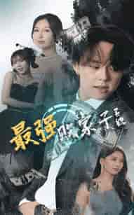 最强败家子系统（80集全）隋安蓉-搜外项目网