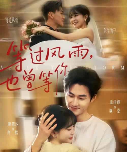 等过风雨，也曾等你（60集全）孟佳辉＆廖茉汐-搜外项目网
