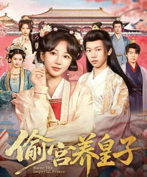 偷宫养皇子（85集全）杨景天＆彭丹丹-搜外项目网