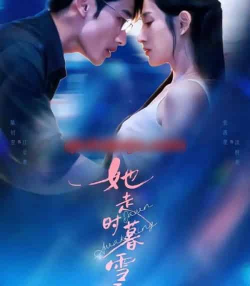 她走时暮雪千山(53集全)陈钊翌&张茜雯-搜外项目网