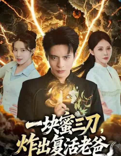 一块蜜三刀，炸出复活老爸（80集全）杨景景＆何子杰-搜外项目网