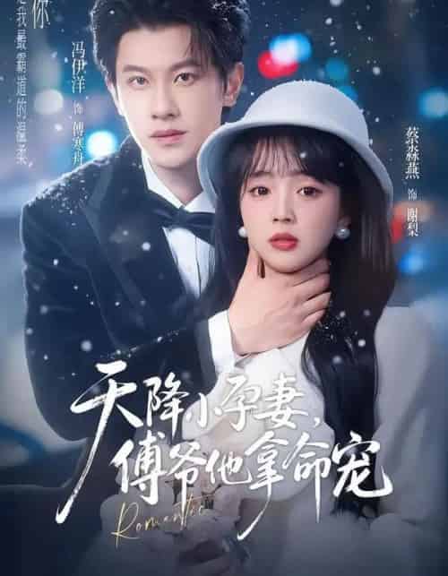 天降小孕妻,傅爷他拿命宠 天降小孕妻,傅爷他拿命宠