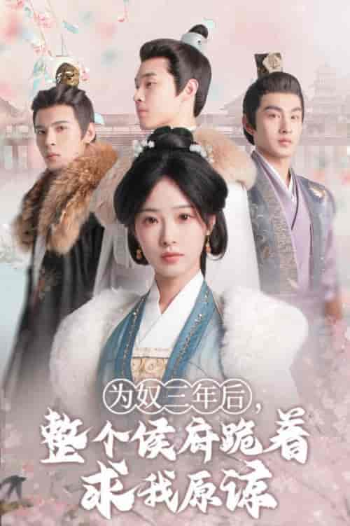 为奴三年后，整个侯府跪着求我原谅（68集全）陆元-搜外项目网