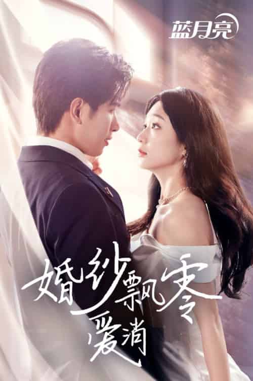 婚纱飘零爱消弭（38集全）陈诗敏-搜外项目网