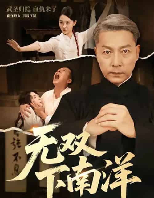 无双下南洋(60集全)李沛泽&邹一宁-搜外项目网