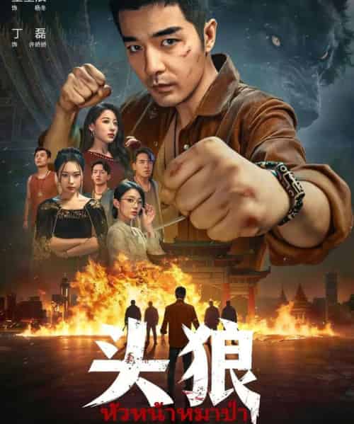 头狼（77集全）丁磊＆董星辰-搜外项目网