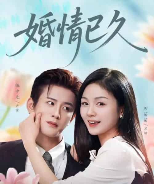 婚情已久（80集全）伍中元＆田苗苗-搜外项目网
