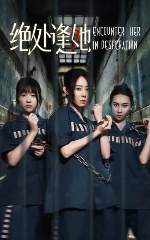 绝处逢她（47集）辰鑫＆千婵-搜外项目网