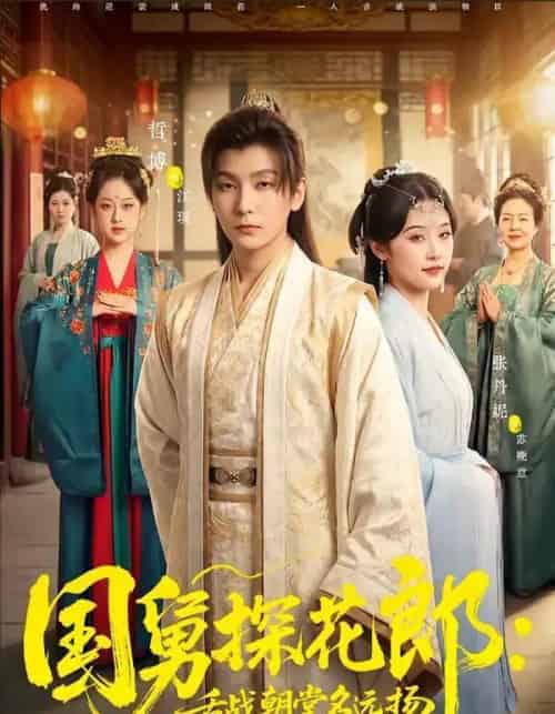 国舅探花郎:舌战朝堂名远扬(81集全)哲博&张凡妮-搜外项目网