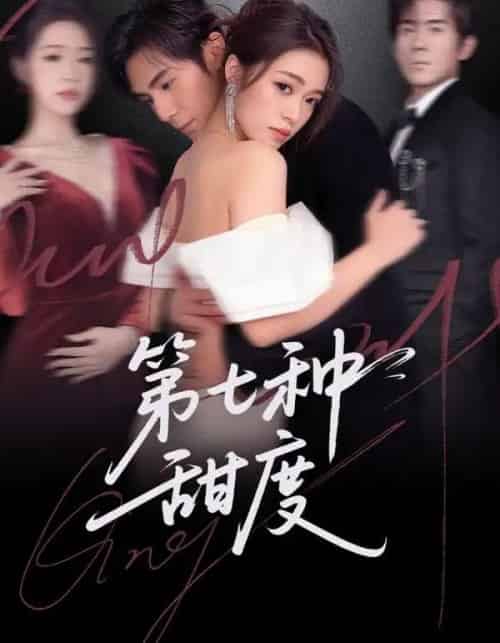 第七种甜度(80集全)刘尊霖&孙小淳-搜外项目网