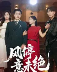 风停意未绝(50集全)李苗苗-搜外项目网