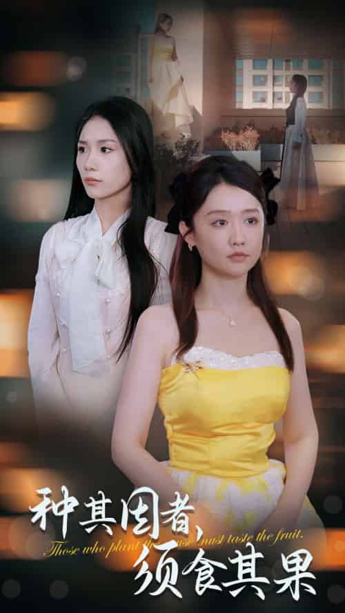种其因者须食其果（45集全）欧阳千然＆毛娜-搜外项目网