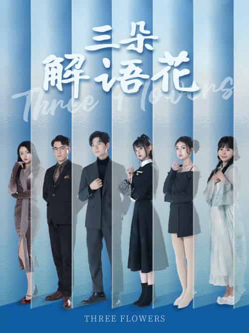 三朵解语花(92集全)邵迪&梦娜&卢巧-搜外项目网