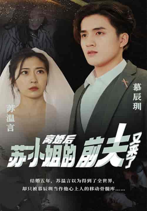 离婚后，苏小姐的前夫又来了（98集全）幕辰玔＆苏温言-搜外项目网