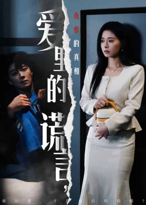 爱里的谎言，仇恨的真相（47集全）宋晨＆韩琪-搜外项目网