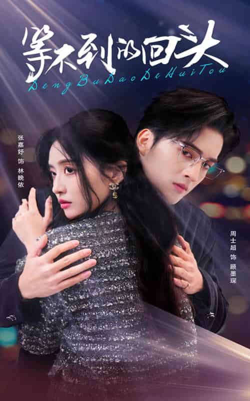 等不到的回头(35集全)周士超&张嘉妤-搜外项目网