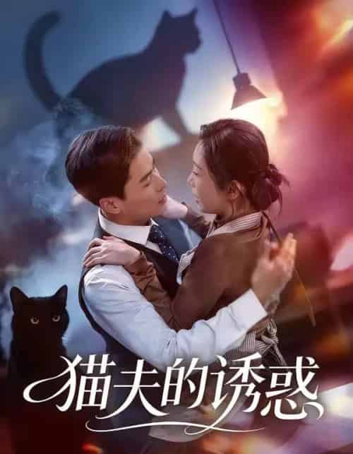 猫夫的诱惑（52集全）朱鹏＆陈安琪-搜外项目网