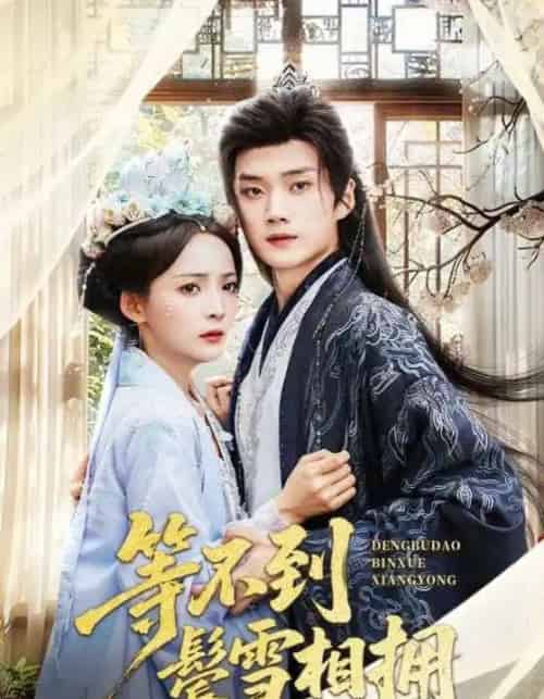 等不到鬓雪相拥（61集）李蔚蓝＆许丹-搜外项目网