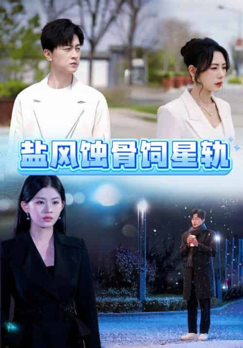 盐风蚀骨饲星轨(60集全)王鹏-搜外项目网