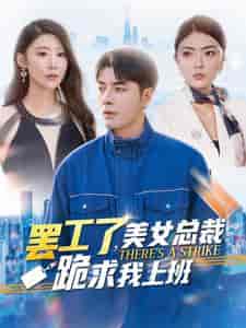 罢工了美女总裁跪求我上班(102集全)邵迪-搜外项目网